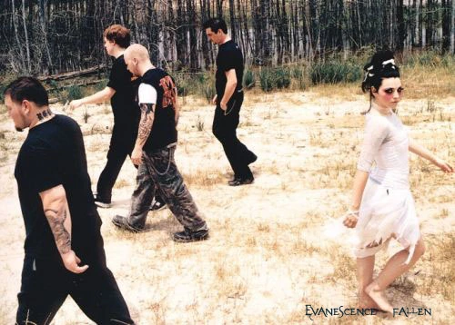 Evanescence - black or white.jpg